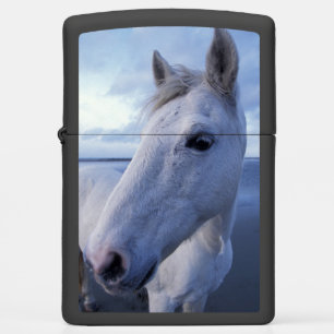 Camargue Horse Zippo Lighter