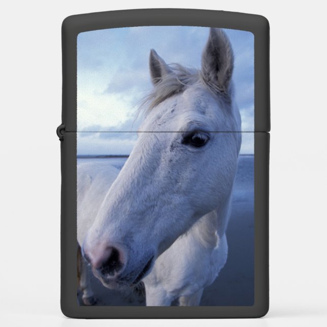 Camargue Horse Zippo Lighter (Front)