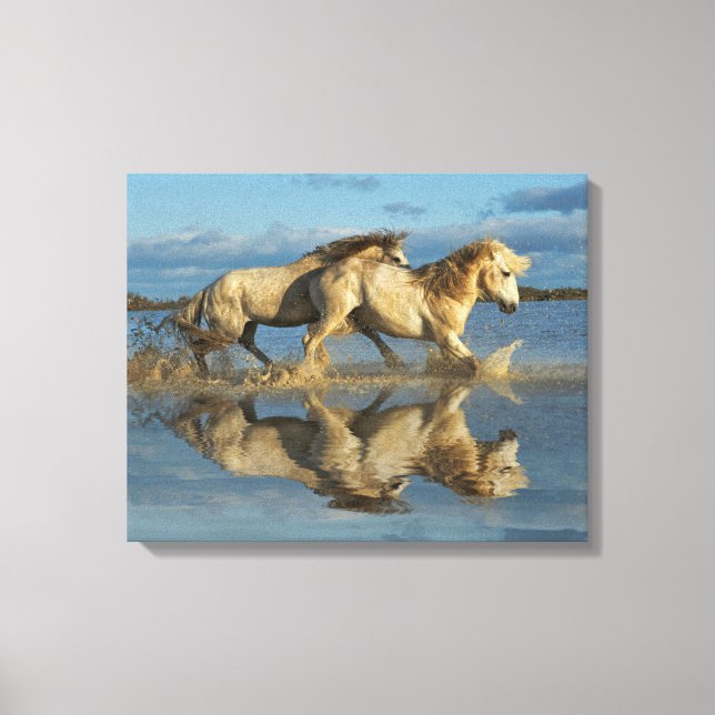 Camargue Horses and Reflection, Southern France Canvas Print (Front)