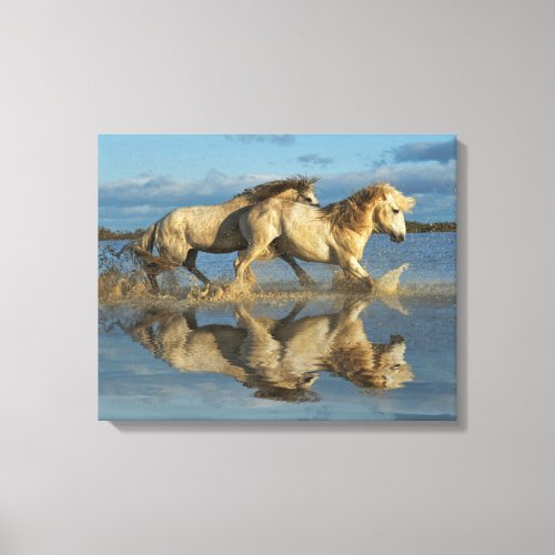 Camargue Horses and Reflection Southern France Canvas Print
