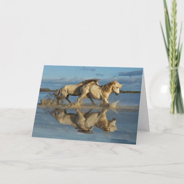 Camargue Horses and Reflection, Southern France Card (Front)