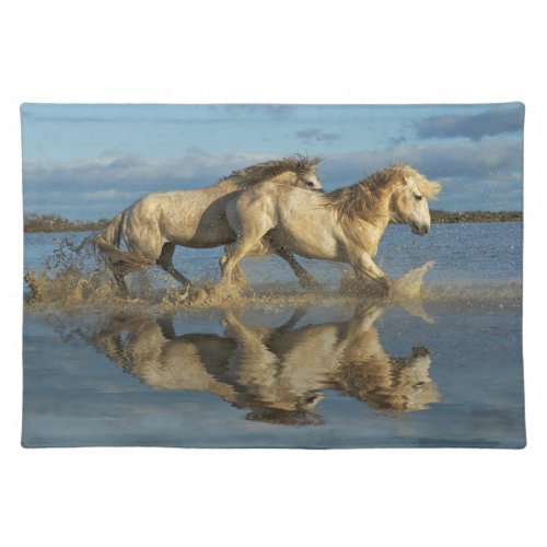 Camargue Horses and Reflection Southern France Cloth Placemat