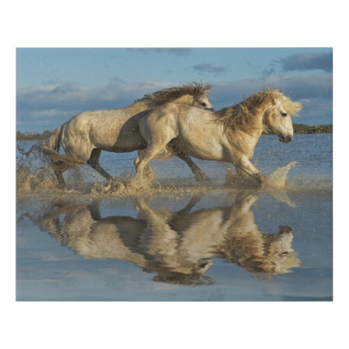 Camargue Horses and Reflection Southern France Faux Canvas Print