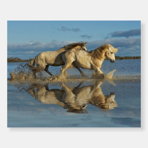 Camargue Horses and Reflection Southern France Foam Board