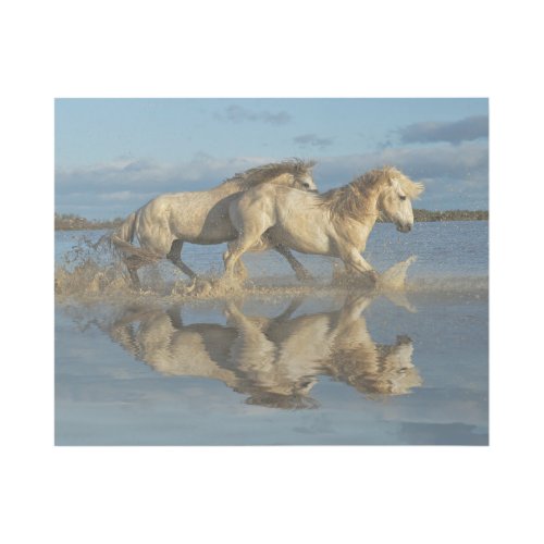 Camargue Horses and Reflection Southern France Gallery Wrap