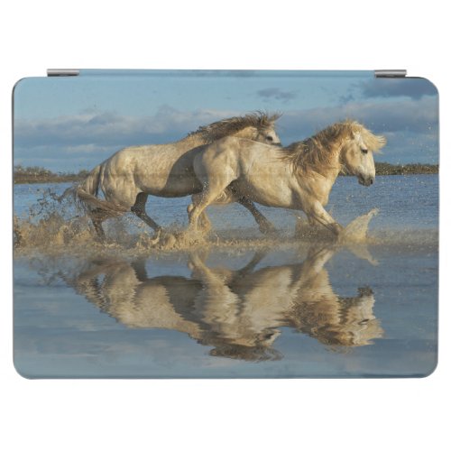 Camargue Horses and Reflection Southern France iPad Air Cover