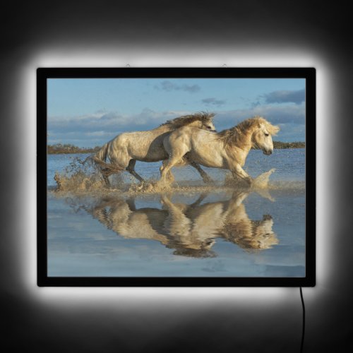 Camargue Horses and Reflection Southern France LED Sign