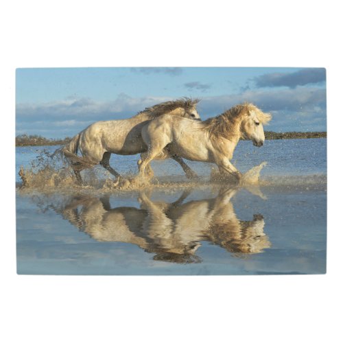 Camargue Horses and Reflection Southern France Metal Print