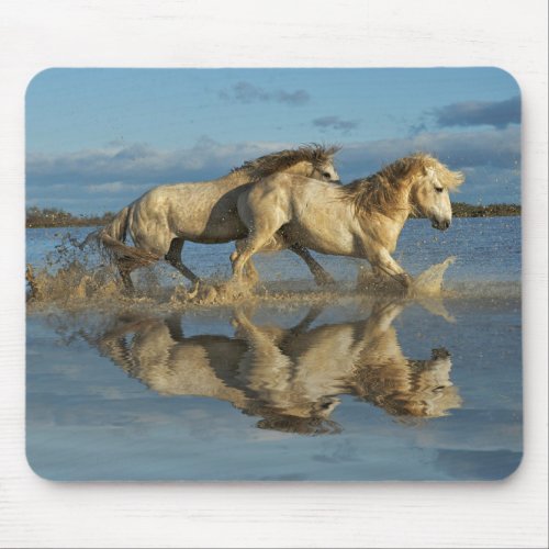 Camargue Horses and Reflection Southern France Mouse Pad
