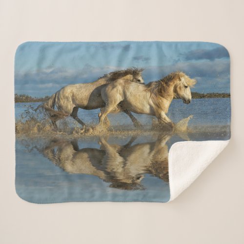 Camargue Horses and Reflection Southern France Sherpa Blanket
