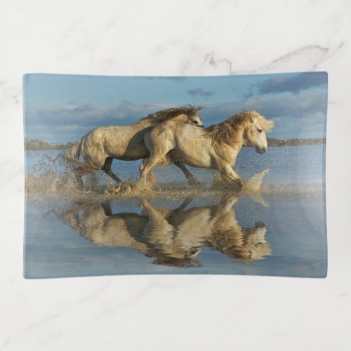 Camargue Horses and Reflection Southern France Trinket Tray