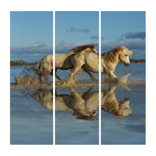 Camargue Horses and Reflection Southern France Triptych