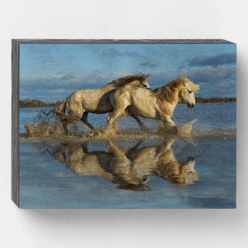 Camargue Horses and Reflection Southern France Wooden Box Sign