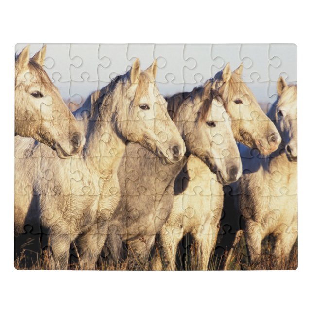 Camargue Horses (Eguus caballus Jigsaw Puzzle (Puzzle Horizontal)