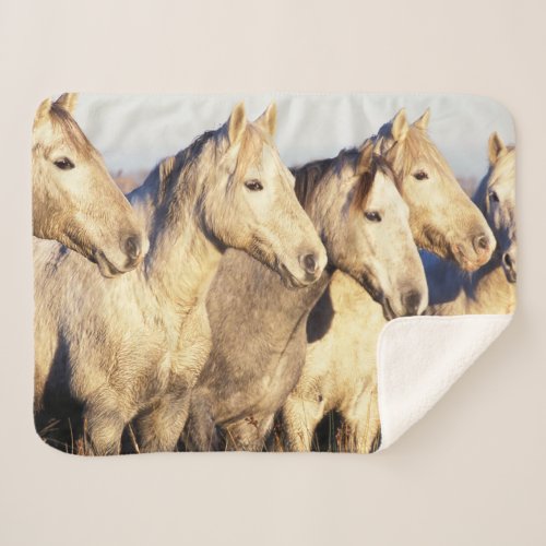 Camargue Horses Eguus caballus Sherpa Blanket