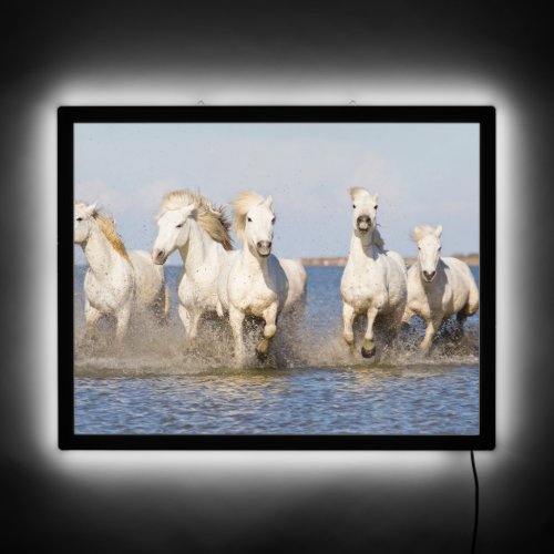 Camargue Horses LED Sign