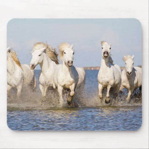 Camargue Horses Mouse Pad