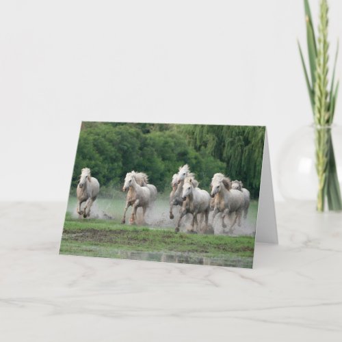 Camargue Horses Running in Water Card