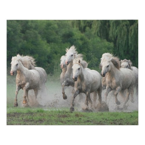 Camargue Horses Running in Water Faux Canvas Print