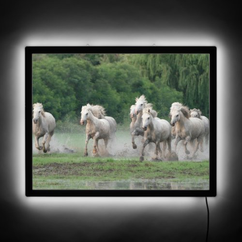 Camargue Horses Running in Water LED Sign