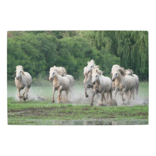 Camargue Horses Running in Water Metal Print