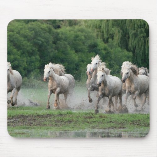 Camargue Horses Running in Water Mouse Pad