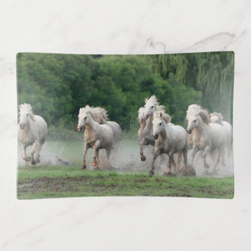 Camargue Horses Running in Water Trinket Tray