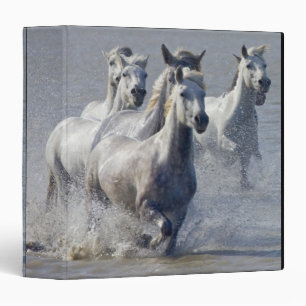 Camargue horses running on marshland to cross binder