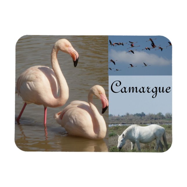 Camargue Magnet (Horizontal)