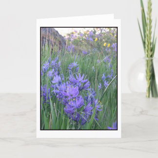 Camas blossoms card