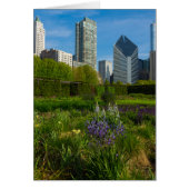 Camassia In The City (Front)