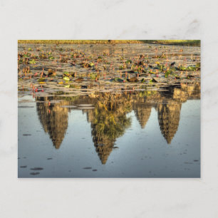 Cambodia, Angkor Wat. Reflection of temple Postcard