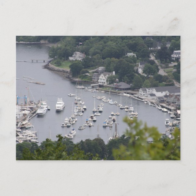 Camden Harbor Postcard (Front)