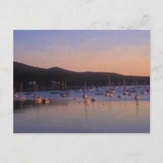 Camden Harbor Sunrise Postcard