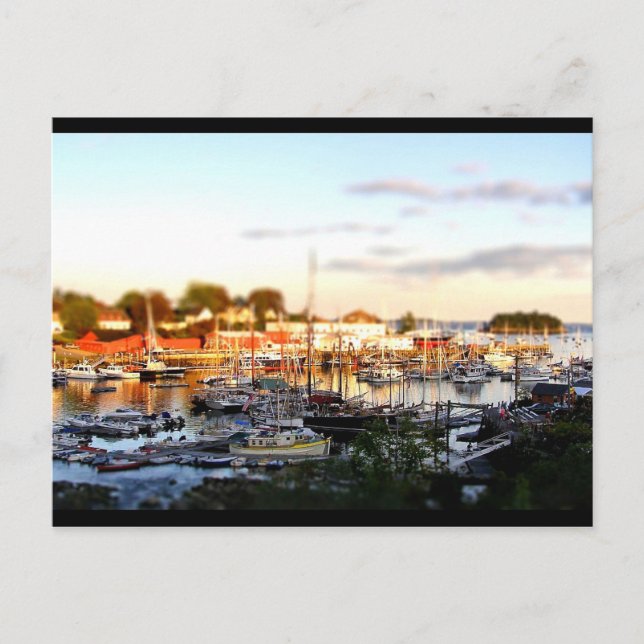 Camden Harbor-tiltshift Postcard (Front)