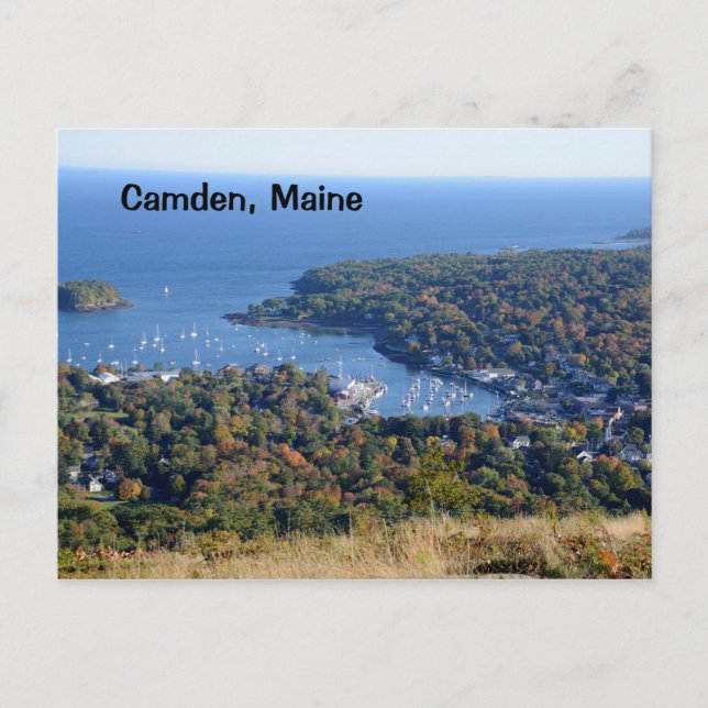 Camden, Maine harbor Postcard (Front)