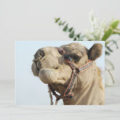 Camel (Standing Front)