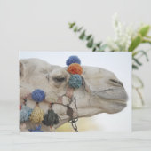 Camel (Standing Front)