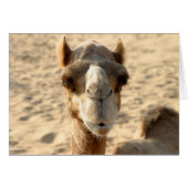 Camel (Front Horizontal)