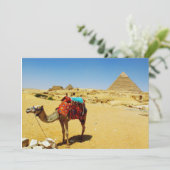 Camel (Standing Front)