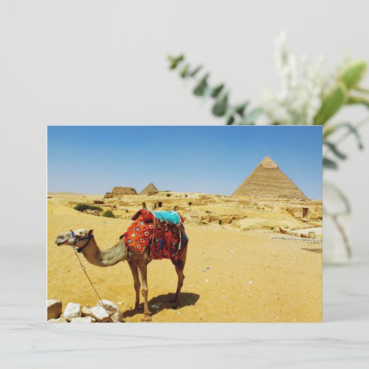 Camel (Standing Front)