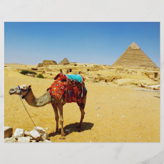 Camel (Front)