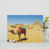 Camel (Standing Front)