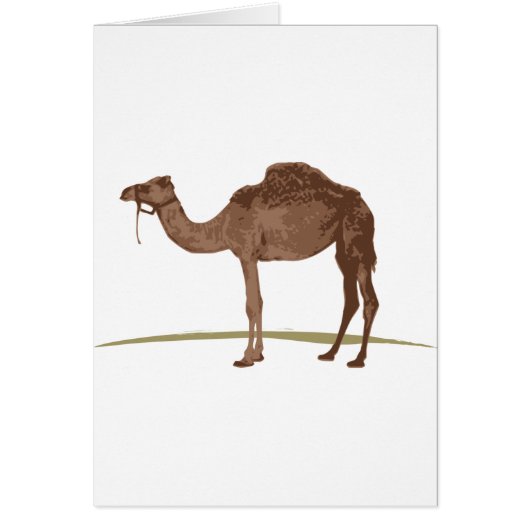 Camel (Front)