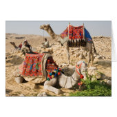 Camel (Front Horizontal)