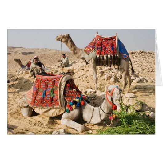 Camel (Front Horizontal)