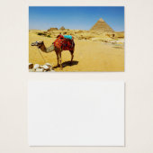 Camel (Front & Back)