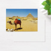 Camel (Desk)
