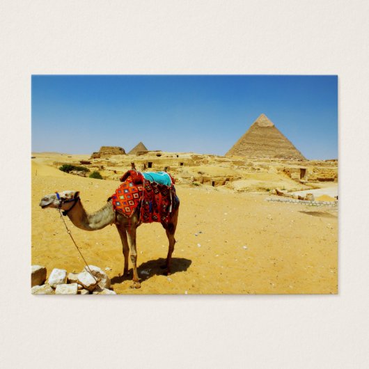 Camel (Front)