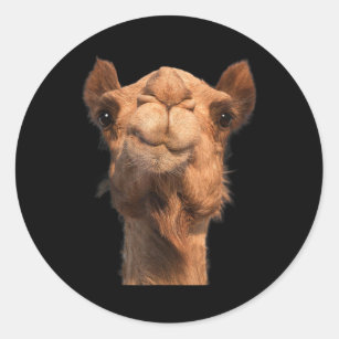 Camel Animal Face Classic Round Sticker